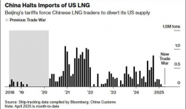 99热99这里精品6国产,六国文化盛宴